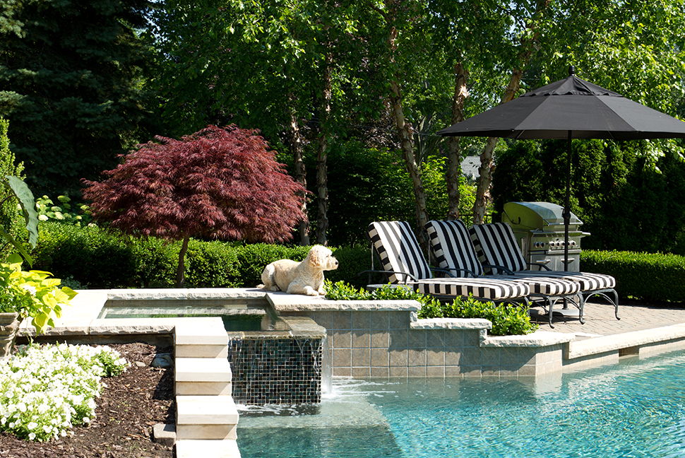 Shady luxury backyard with pool waterfall and dog sitting on ledge